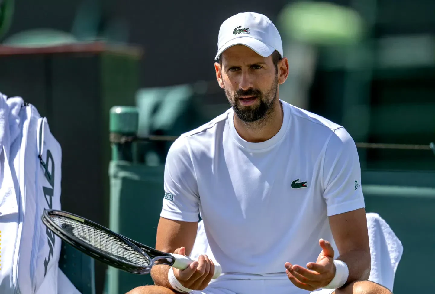 澳网轻取美网，德约科维奇刷新纪录