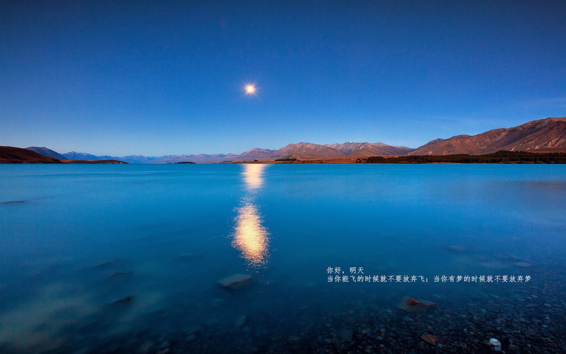 范弗利特爆发定乾坤，湖人巅峰对决力克浙江，诠释唯一性传奇
